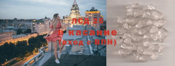 стаф Арсеньев