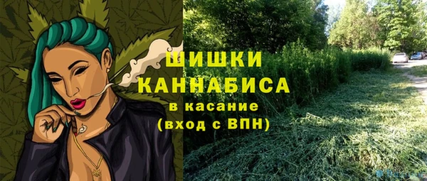 ГАЛЛЮЦИНОГЕННЫЕ ГРИБЫ Армянск