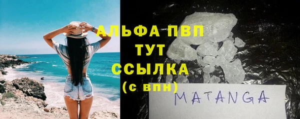 стаф Арсеньев